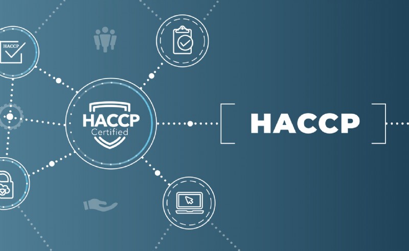 HACCP Gefahrenanalyse
